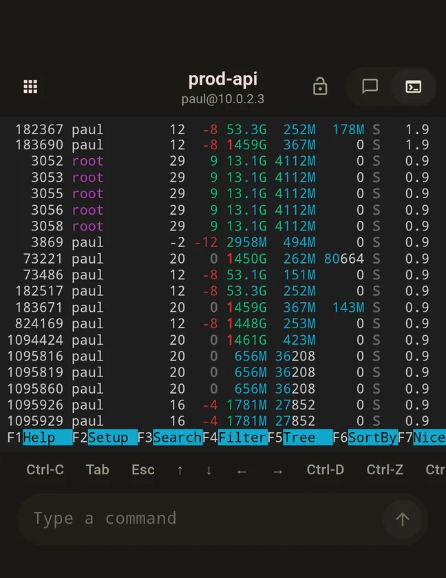 htop running live in Shellvana with its colour bars and function-key footer intact.
